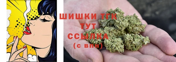 ГАЛЛЮЦИНОГЕННЫЕ ГРИБЫ Аркадак