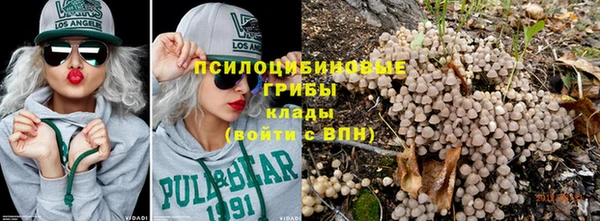 эйфоретик Арсеньев
