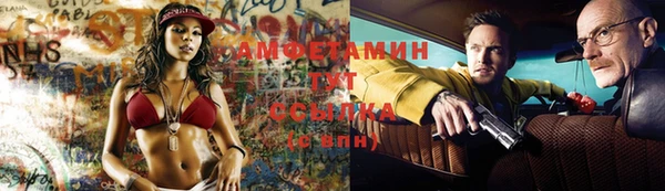 ГАЛЛЮЦИНОГЕННЫЕ ГРИБЫ Аркадак