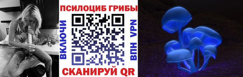 Псилоцибиновые грибы Cubensis Междуреченск