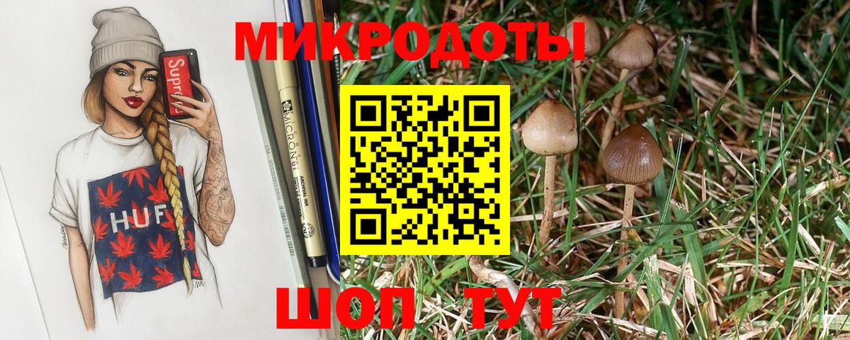 Галлюциногенные грибы Cubensis  Вход с VPN  продажа наркотиков  Междуреченск 